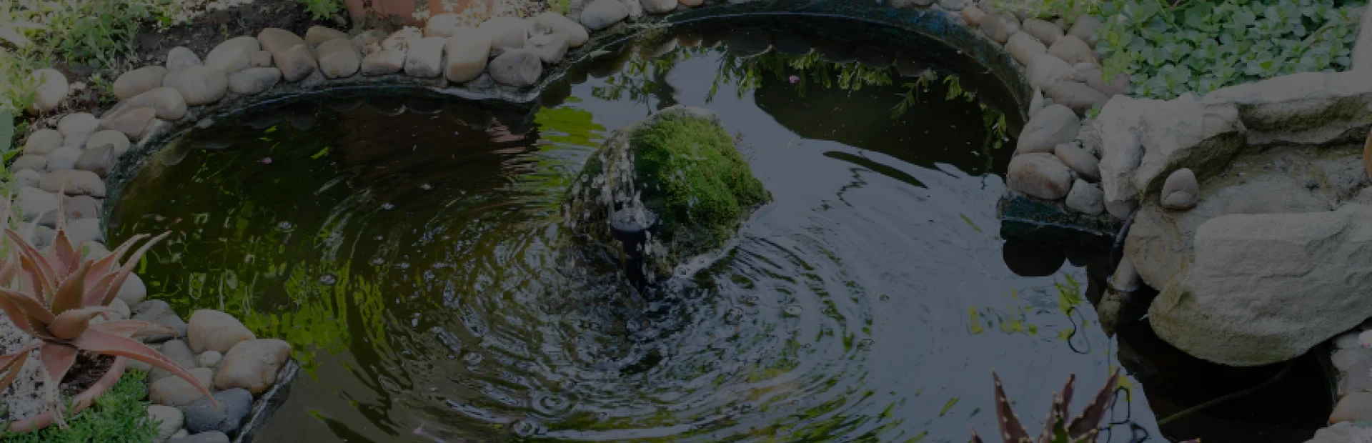 pond breadcrumb hero