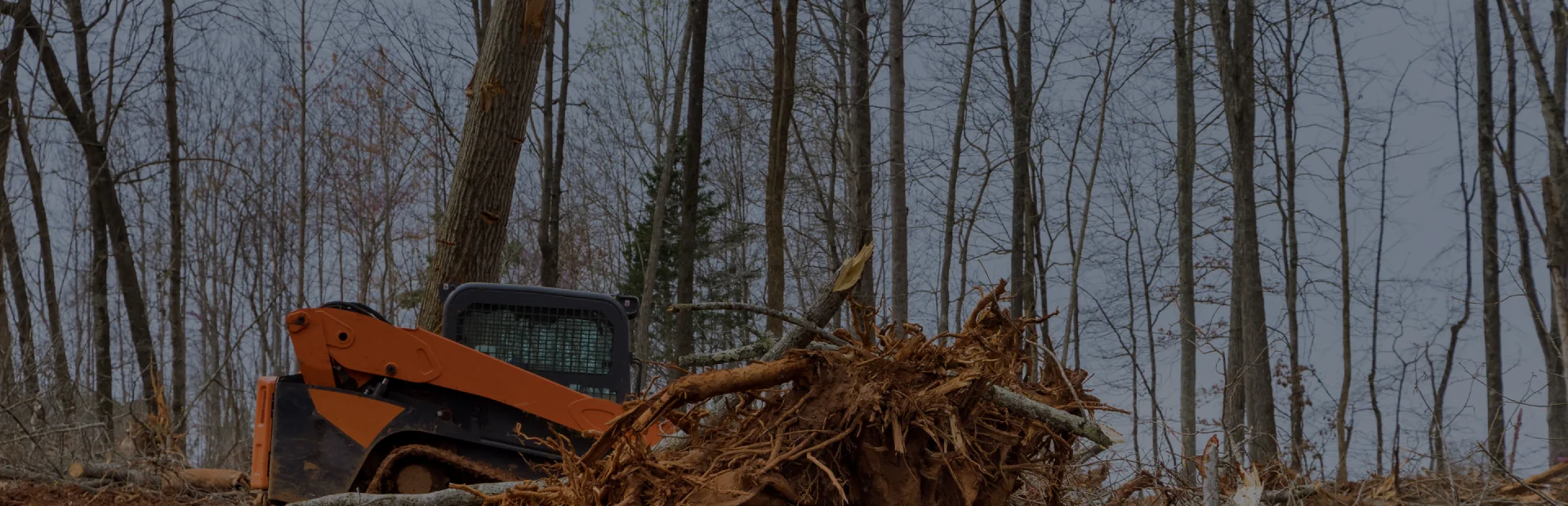 breadcrumb Land Clearing & Vegetation Management